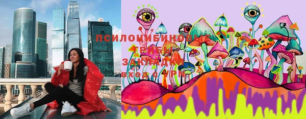 ECSTASY Алзамай