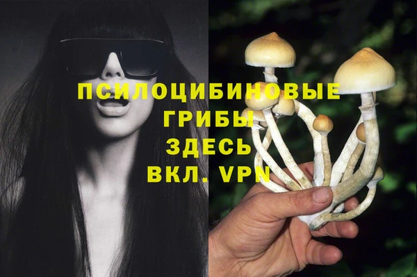 ECSTASY Алзамай