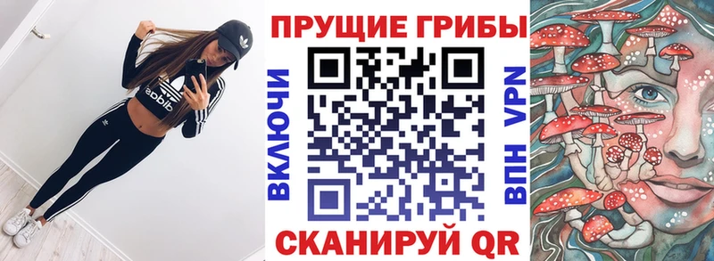 где купить наркоту  Бобров  МЕГА зеркало  Псилоцибиновые грибы GOLDEN TEACHER 